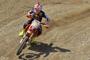 Cairoli